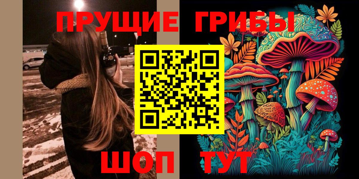 Псилоцибиновые грибы GOLDEN TEACHER Мценск